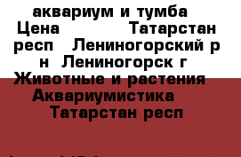 аквариум и тумба › Цена ­ 5 500 - Татарстан респ., Лениногорский р-н, Лениногорск г. Животные и растения » Аквариумистика   . Татарстан респ.